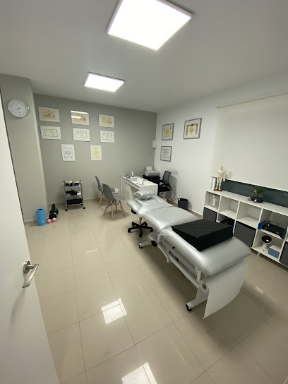FISYOST Fisioterapia y Osteopatía