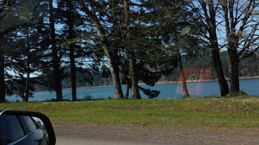 Inn «Country Star RV Park», reviews and photos, 6281 US-20, Foster, OR 97345, USA