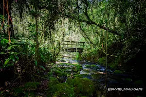 Municipal park (Trail Pontinha) image