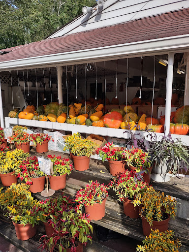 Grocery Store «Red Top Farm Market», reviews and photos, 1801 NJ-70, Southampton Township, NJ 08088, USA