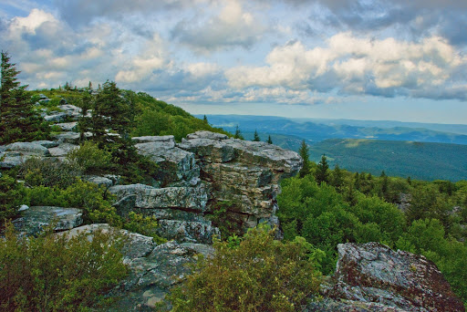 Dolly Sods