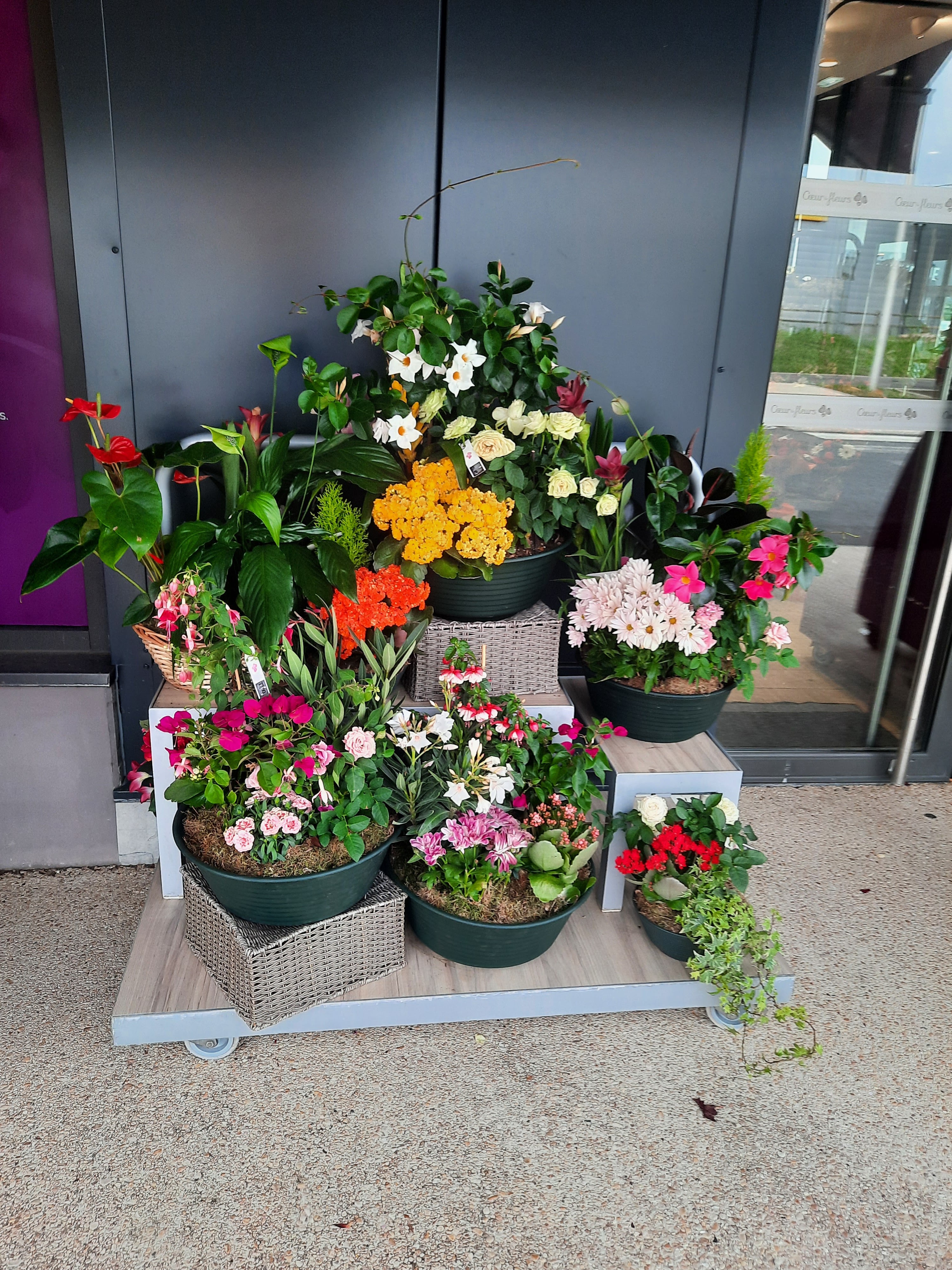 Photo n° 2 de l'avis de Jacques.e fait le 18/05/2019 à 12:55