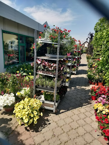 Opinii despre Centrum ogrodnicze Garden-mix Szymon Potyrała în Kalisz - Ogrodnik