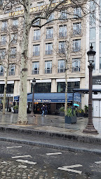 Photo n°212 de Flora Danica à Paris ()