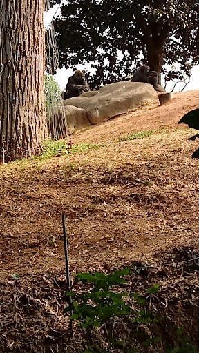 Recreation Center «Clayton County Parks & Recreation», reviews and photos, 2300 State Highway 138, Jonesboro, GA 30236, USA