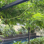 Photo n°2 de l'avis de Femke.l fait le 14/07/2023 à 07:12 sur le  The Editory Boulevard Aliados Hotel - Preferred Hotels à Porto