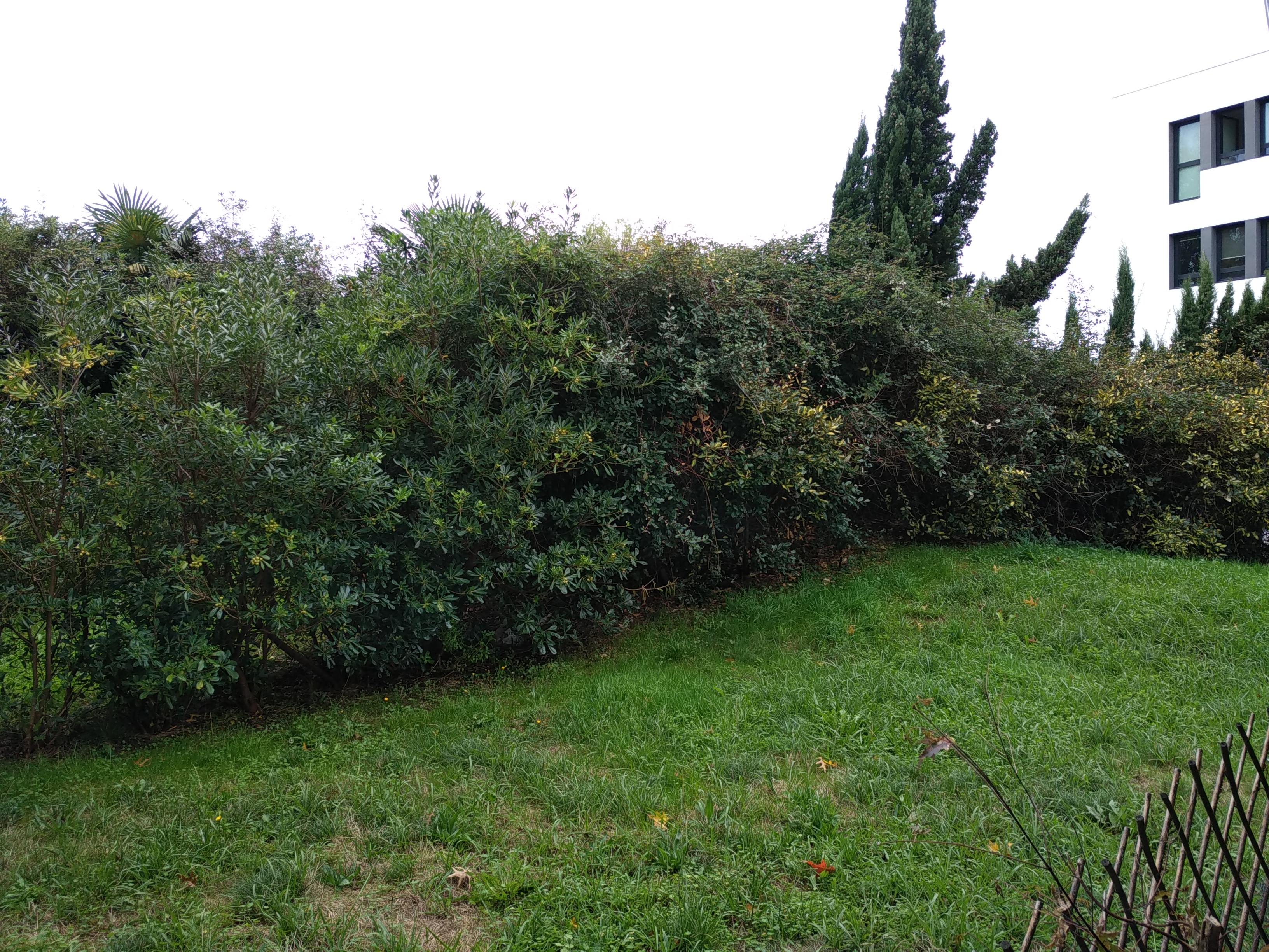 Photo n° 6 de l'avis de florian.a fait le 24/02/2021 à 16:36