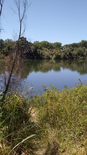 OConnor Lakes Unit, FRWA - photo 44