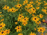 Ground Crew Service - Photo 8 - Car repair in , Milwaukee