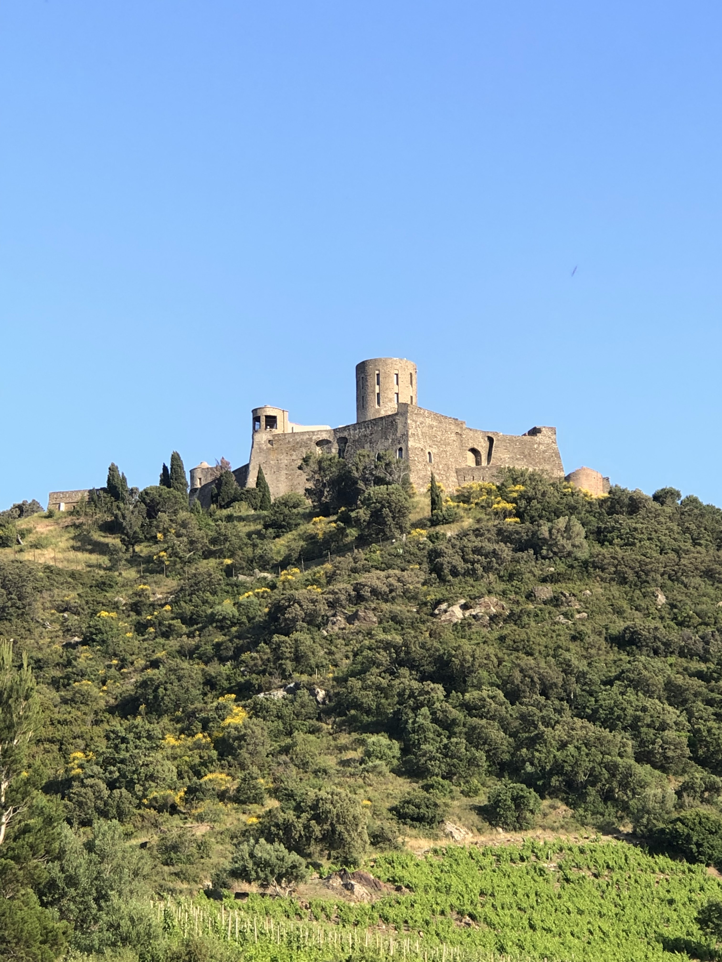 Photo n° 21 de l'avis de Denis.u fait le 11/06/2019 à 18:38