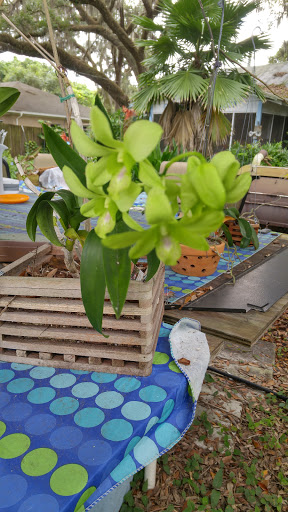 Florist «Country Corner Bouquets», reviews and photos, 11515 E M.L.K. Jr Blvd, Seffner, FL 33584, USA