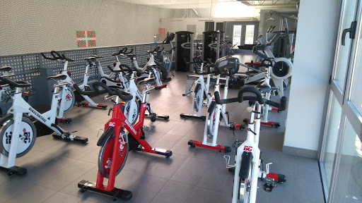 Ametsa Trinketea en Irura, Guipúzcoa