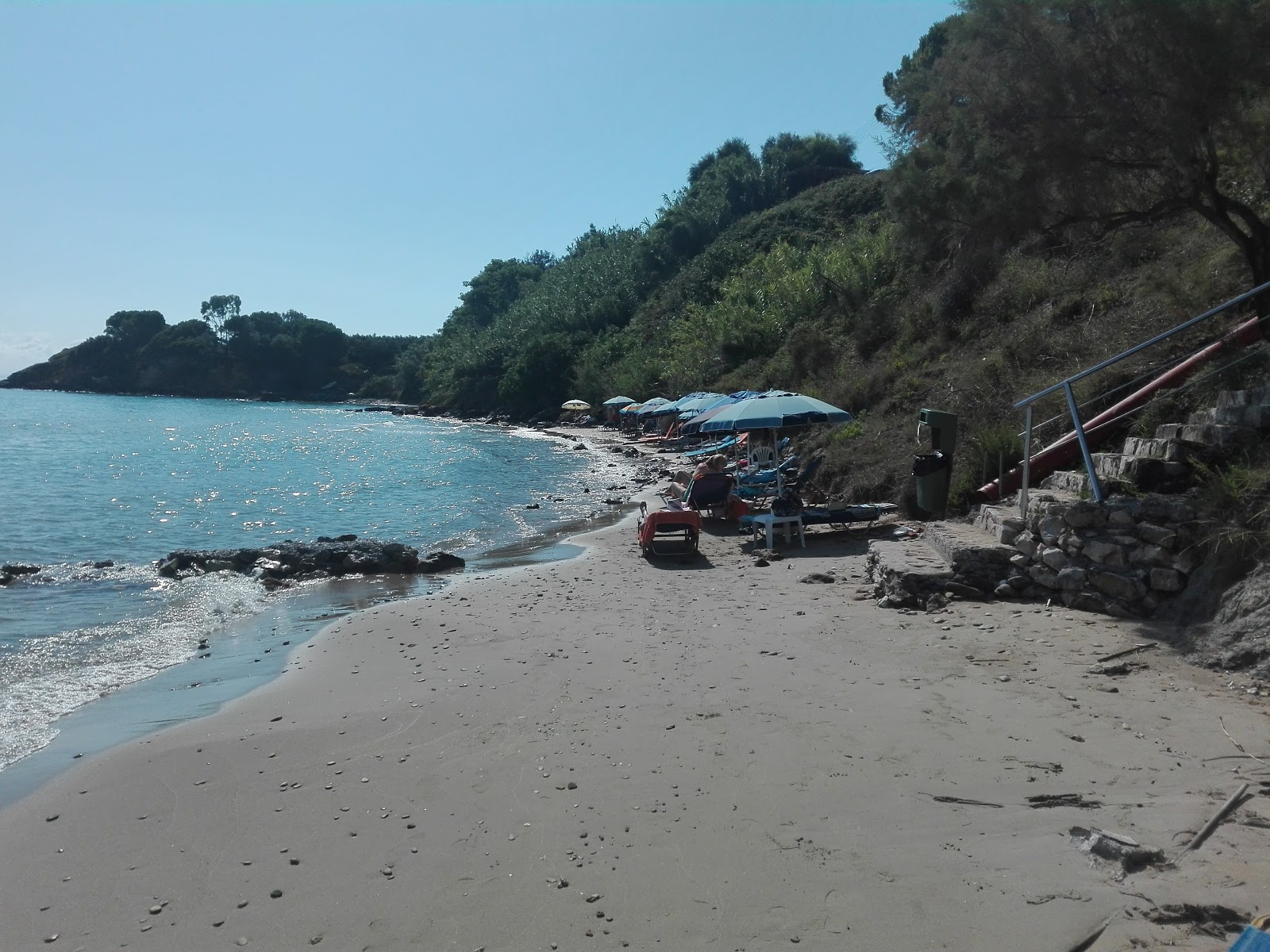 Paralia xechoriatis photo #7