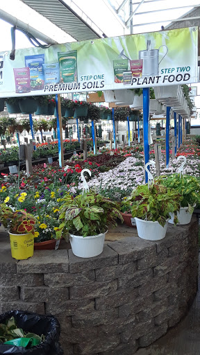 Home Improvement Store «Menards», reviews and photos, 4501 W North Ave, Chicago, IL 60639, USA