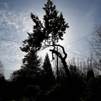 Quercus Artisan Élagueur à Lampaul-Plouarzel