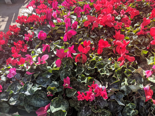 Hardware Store «Orchard Supply Hardware», reviews and photos, 2245 Gellert Blvd, South San Francisco, CA 94080, USA