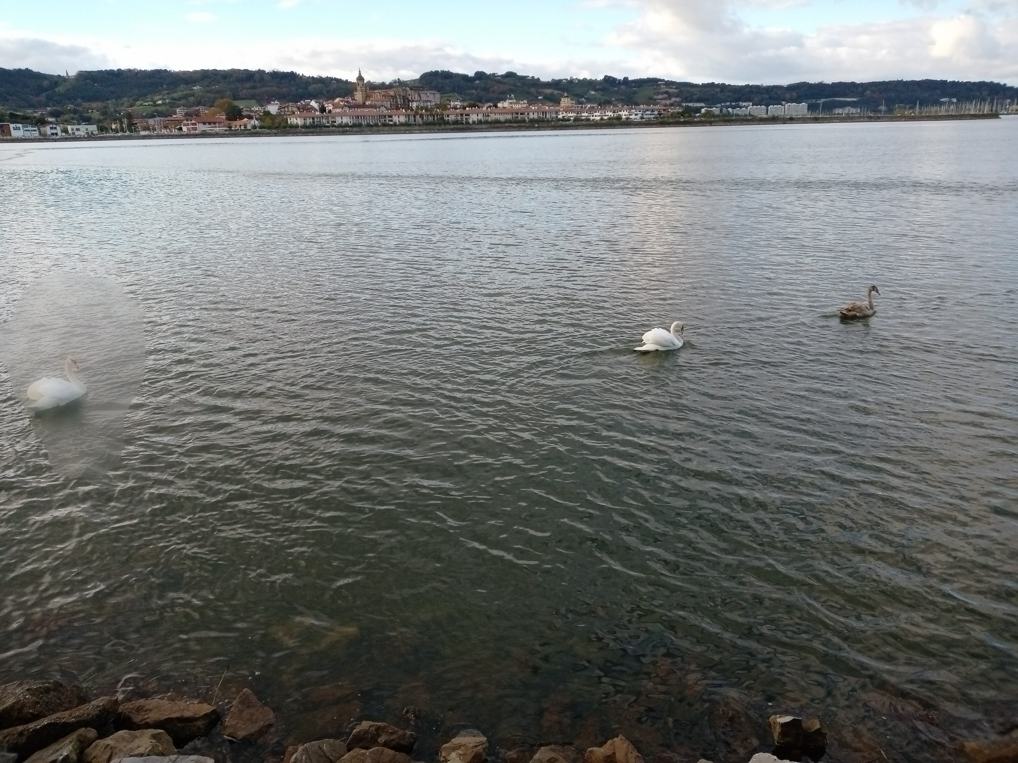 Photo n° 2 de l'avis de René.e fait le 13/11/2021 à 15:51