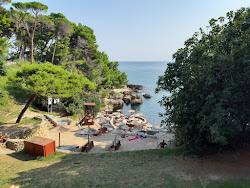 Photo de Albatros beach avec petite baie