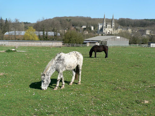 Les Ecuries du Shamrock à La Chapelle-Montligeon