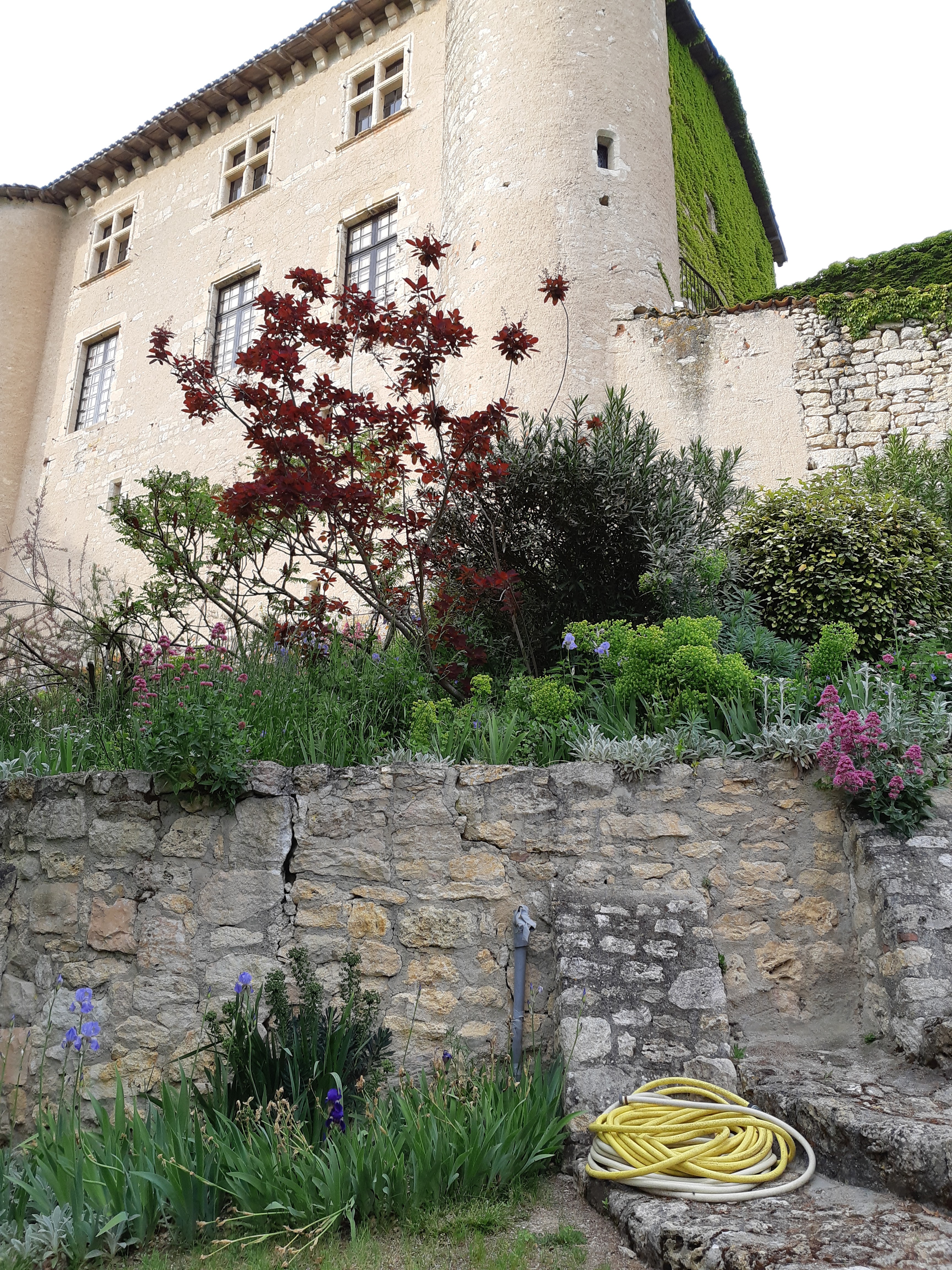 Photo n° 3 de l'avis de Hardeman.� fait le 02/05/2019 à 17:50