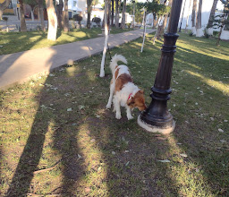 Parque de la Espiritualidad photo