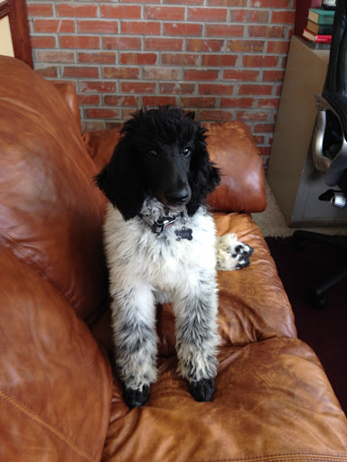 Locksmith «23 1/2 HR. Locksmith Security Co.», reviews and photos, 571 E Main St, Canton, GA 30114, USA