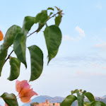 Photo n°8 de l'avis de Roberta.r fait le 20/06/2021 à 08:36 sur le  Hotel Villa Enrica - Aeolian Charme à Lipari