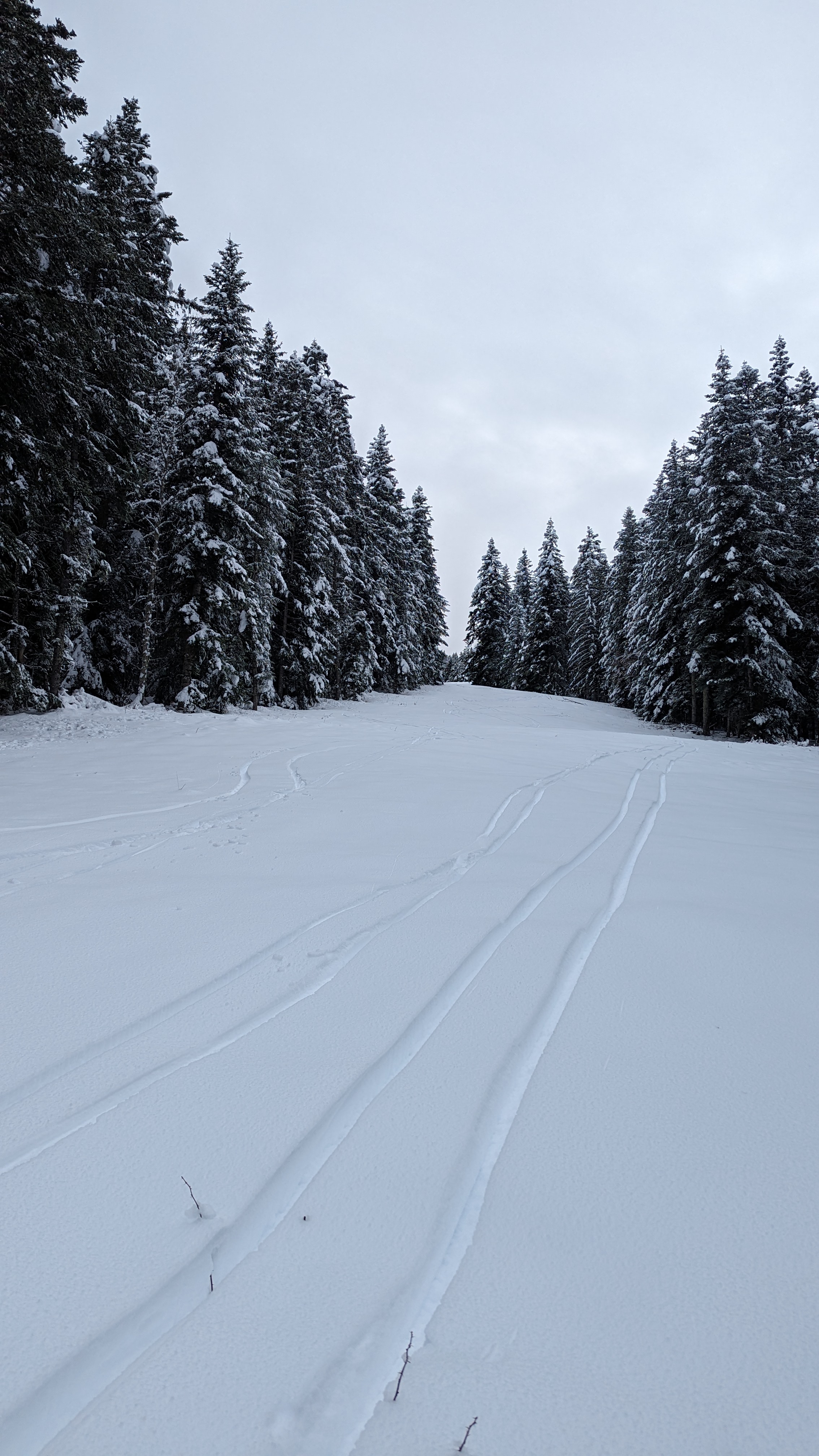Photo n° 2 de l'avis de Stephane.h fait le 31/03/2018 à 15:01