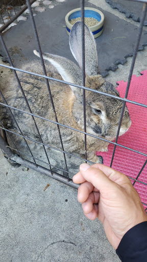 Pet Supply Store «Creative Pet Supply», reviews and photos, 305 N Harbor Blvd, San Pedro, CA 90731, USA