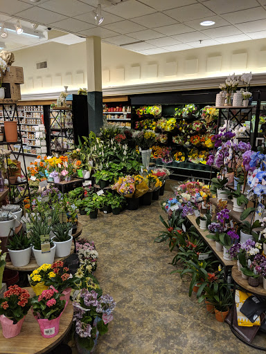 Supermarket «Kings Super Markets», reviews and photos, 100 Morristown Rd, Bernardsville, NJ 07924, USA