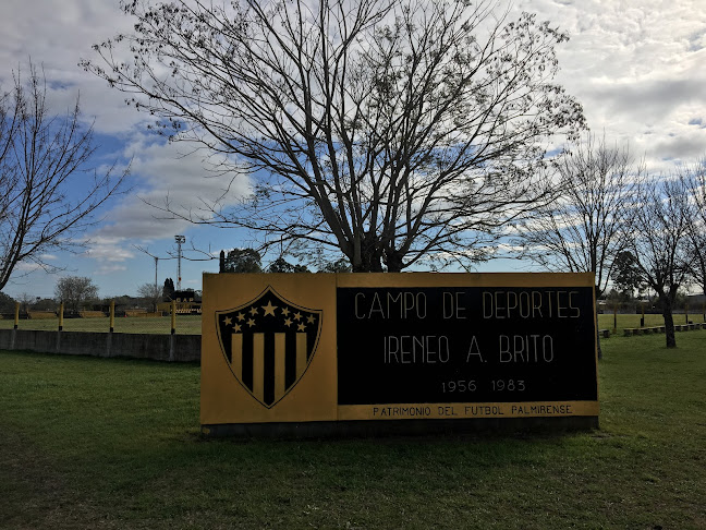 Comentarios y opiniones de Campo de Deportes Ireneo A. Brito, Club A. Peñarol - N. Palmira