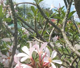 Phra Phutthasihing Hall photo