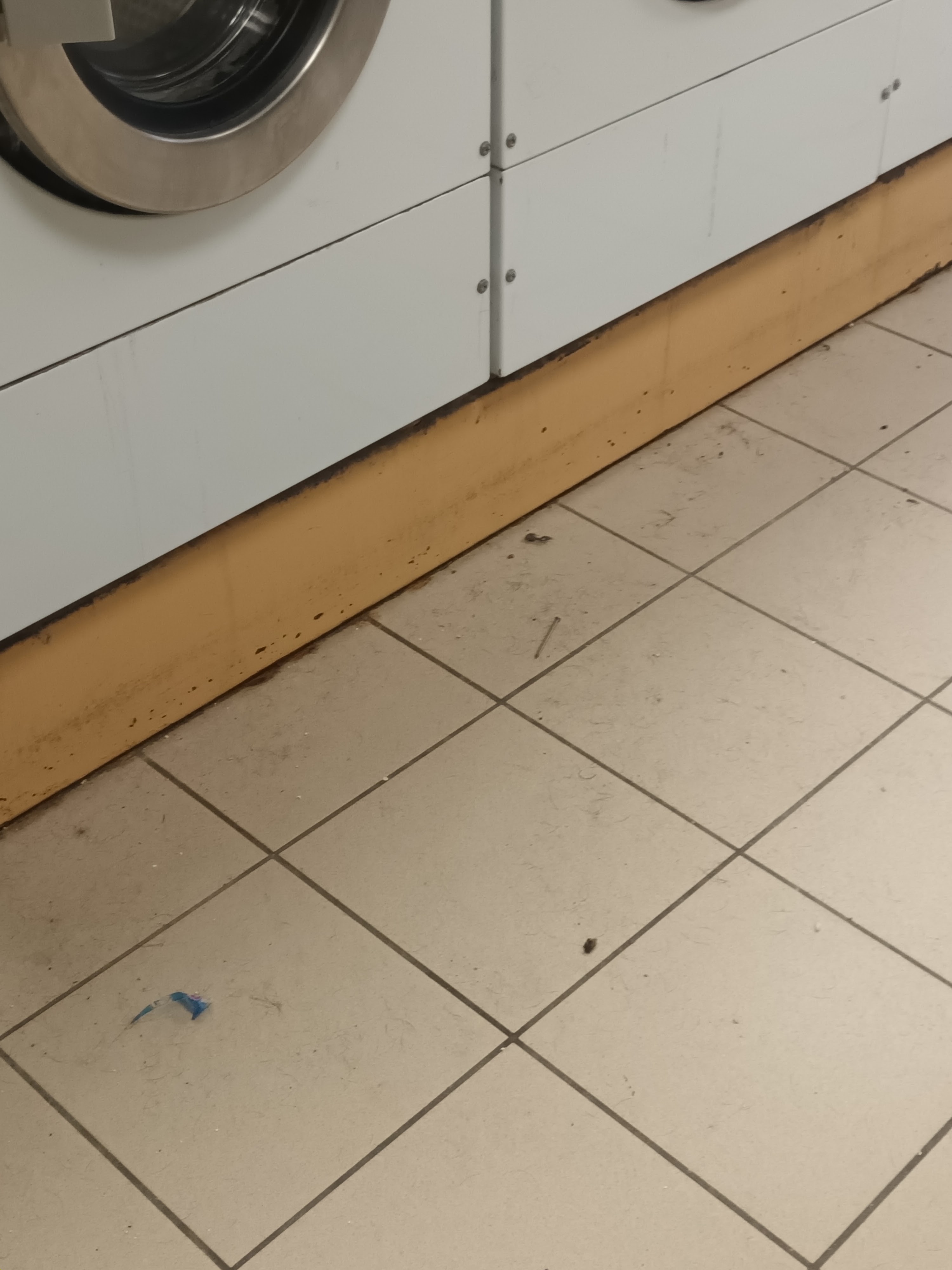 Photo n° 1 de l'avis de Hélène.o fait le 13/02/2024 à 16:28