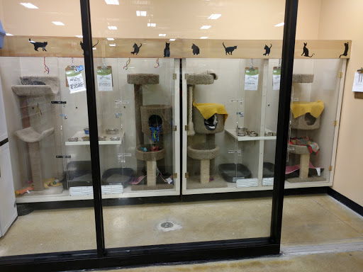 Pet Supply Store «PetSmart», reviews and photos, 162 S Gary Ave, Bloomingdale, IL 60108, USA