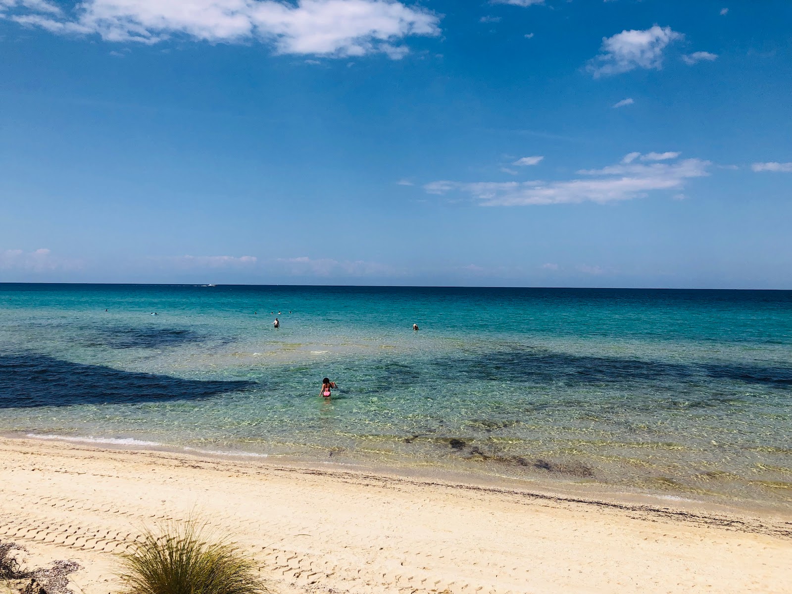 Foto de Stavronikita beach zona salvaje
