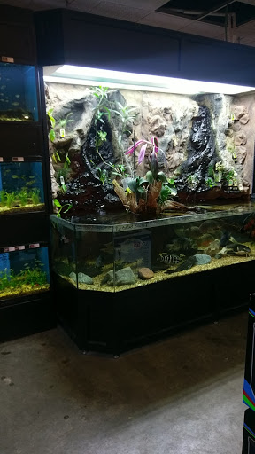 Pet Store «Miles of Exotics», reviews and photos, 8350 N Broadway, Kansas City, MO 64118, USA