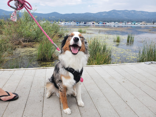 Park Animal Hospital - 6