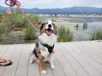 Park Animal Hospital - Photo 7 - Car repair in Simi Valley, CA, Simi Valley