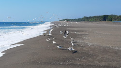Photo de San Simon beach avec un niveau de propreté de très propre