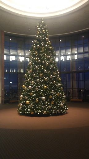 Performing Arts Theater «OCCC Visual and Performing Arts Center Theater», reviews and photos, 7777 S May Ave, Oklahoma City, OK 73159, USA