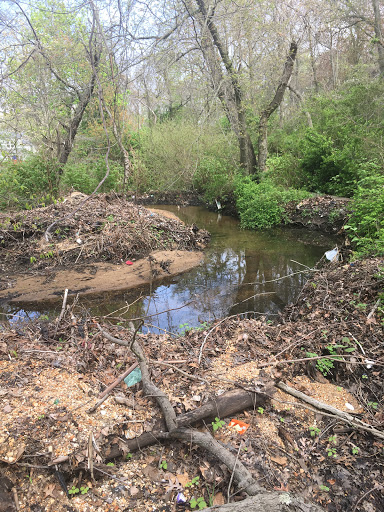 Nature Preserve «Brookside Preserve», reviews and photos, N Brookside Ave, Roosevelt, NY 11575, USA