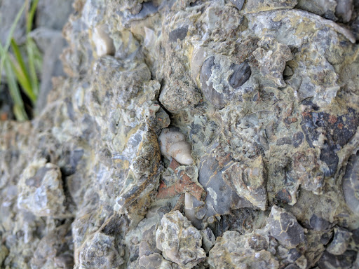 Nature Preserve «Caesar Creek Gorge State Nature Preserve», reviews and photos, 4080 Corwin Rd, Oregonia, OH 45054, USA