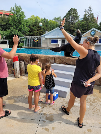 Zoo «Oceans of Fun», reviews and photos, 10001 W Bluemound Rd, Milwaukee, WI 53226, USA