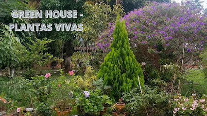 Green house, plantas vivas en Dosquebradas, Risaralda