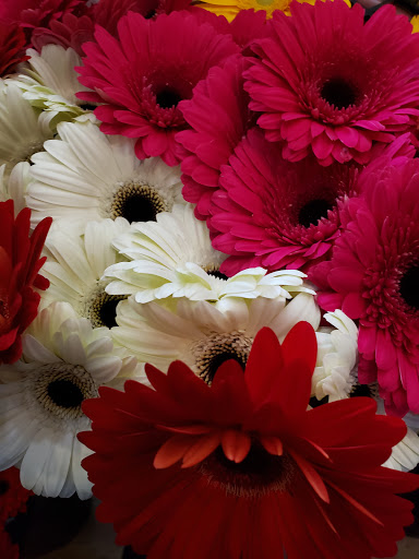 Florist «Ye Olde Yardley Florist», reviews and photos, 175 S Main St, Yardley, PA 19067, USA