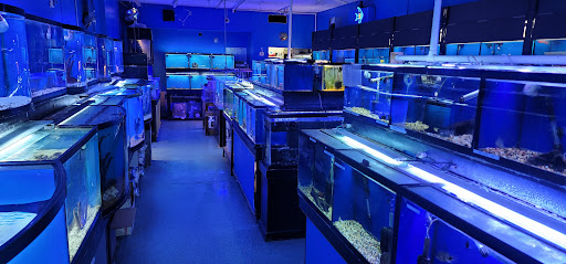 Pet Store «Coral Reef Pet Center», reviews and photos, 7723 W Lawrence Ave, Norridge, IL 60706, USA