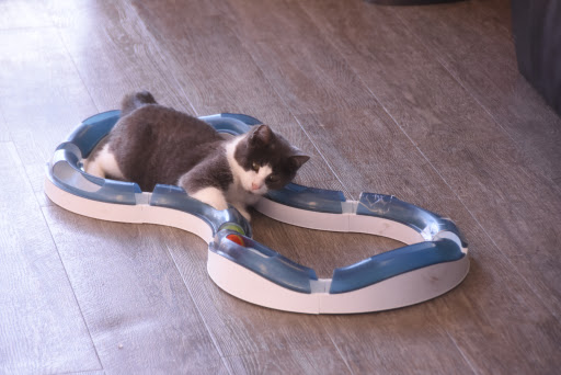 Pet Supply Store «Animal House Pet Supplies», reviews and photos, 733 Phillips Blvd, Sauk City, WI 53583, USA