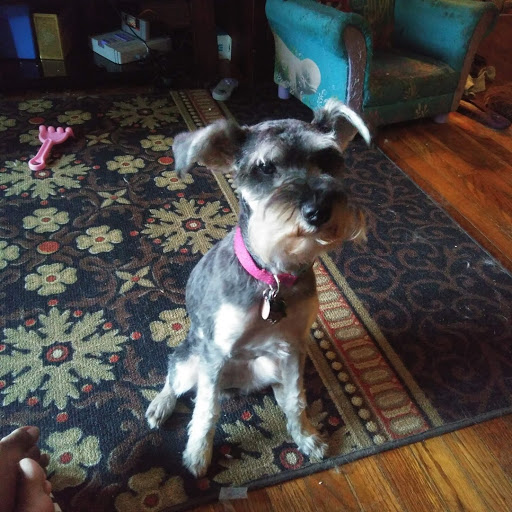 Pet Supply Store «Petco Animal Supplies», reviews and photos, 8909 Branch Ave d, Clinton, MD 20735, USA