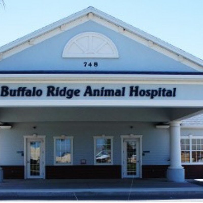 VCA Buffalo Ridge Animal Hospital