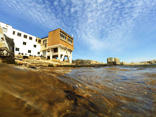 Faculty of Marine Sciences and Natural Resources